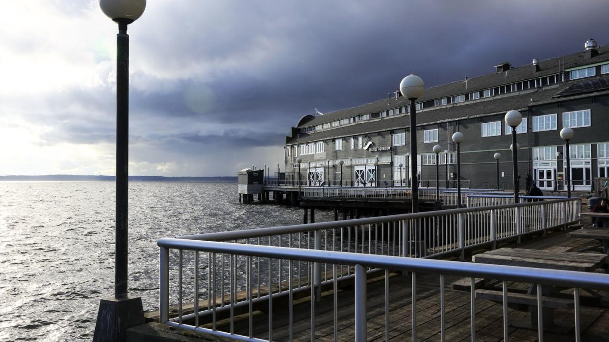 pier 59 and seattle aquarium