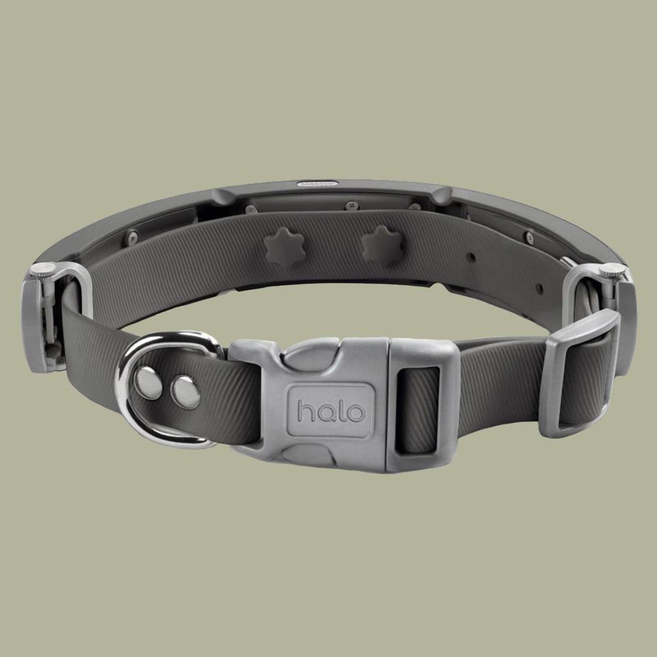 Halo Collar 2+ GPS Dog Collar & Wireless Virtual Fence