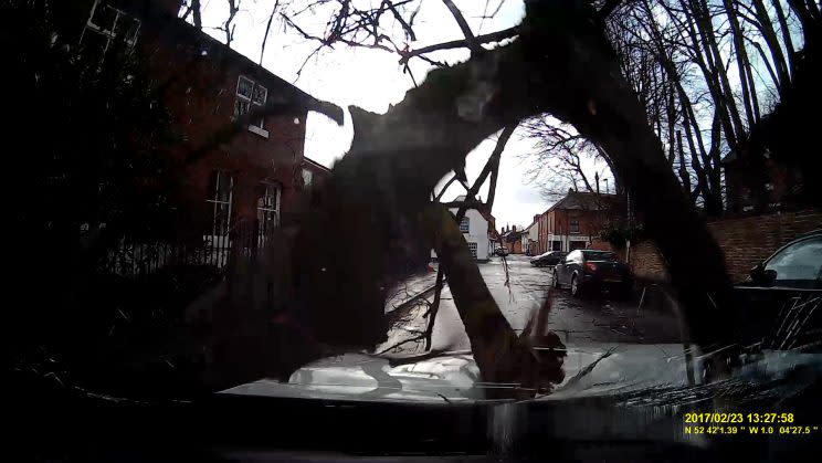 A driver had a miracle escape after a giant tree ploughed through her windscreen - missing her by inches - during Storm Doris.