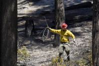 A firefighter mops up hotspots from a back fire near the Yosemite National Park south entrance, as the Washburn Fire continues to burn, Tuesday, July 12, 2022, in Calif. (AP Photo/Godofredo A. Vásquez)