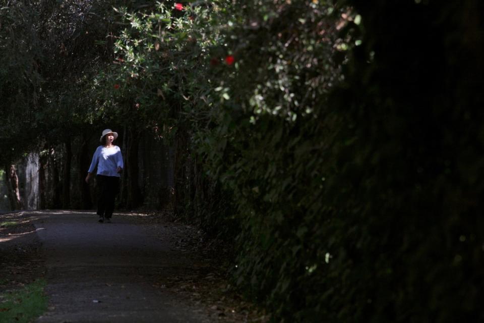 Poonsi Kraikittikun takes a stroll under the cool canopy of trees at Fern Dell.