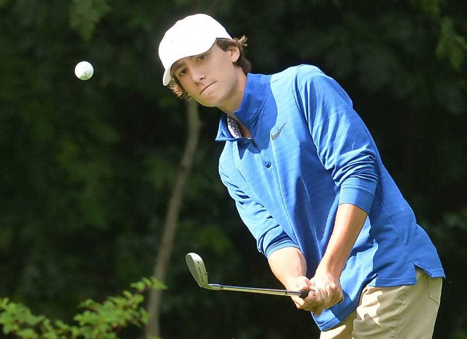 Warren Area High School senior Johnny Palmieri hits onto the No. 17 green Wednesday during a Region 6 boys golf mega match at Beechwood Golf Club.