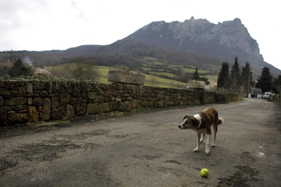 A dog plays with a tennis ball backdropped by the Pic de Bugarach mountain in the town of Bugarach, France, Thursday, Dec. 20, 2012. The clock is ticking down to Dec. 21, the supposed end of the Mayan calendar, and from China to California to Mexico, thousands are getting ready for what they think is going to be a fateful day. The sleepy town of Bugarach, nestled in the French Pyrenees mountains, is bracing for the arrival of hundreds of New Age enthusiasts and UFO believers that want to witness the end of the Mayan Long Count calendar. (AP Photo/Marko Drobnjakovic)
