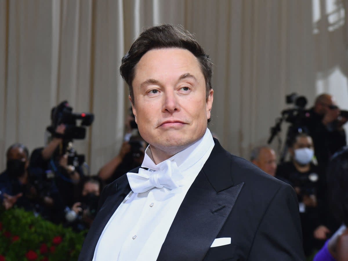 Tesla CEO and SpaceX founder Elon Musk (AFP via Getty Images)