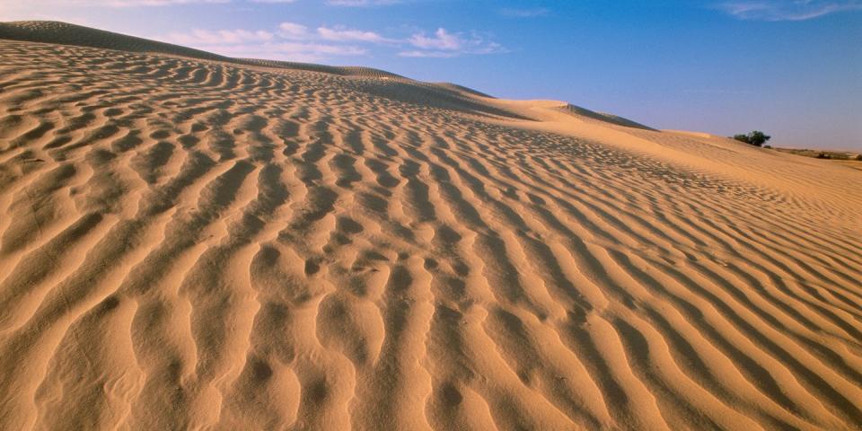 15) Saskatchewan: Hike Near Giant Sand Dunes