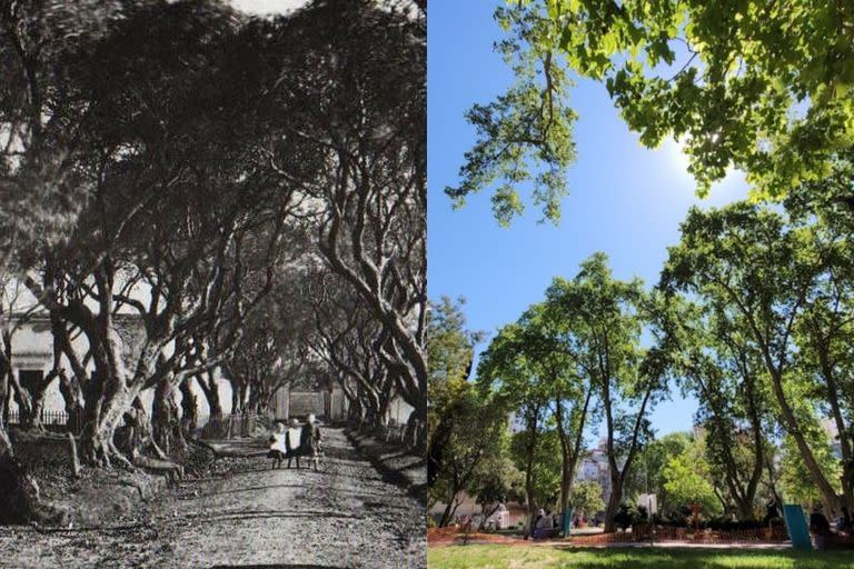 Cuál es la peculiar historia de la plaza de Balvanera que hace 130 años fue un cementerio