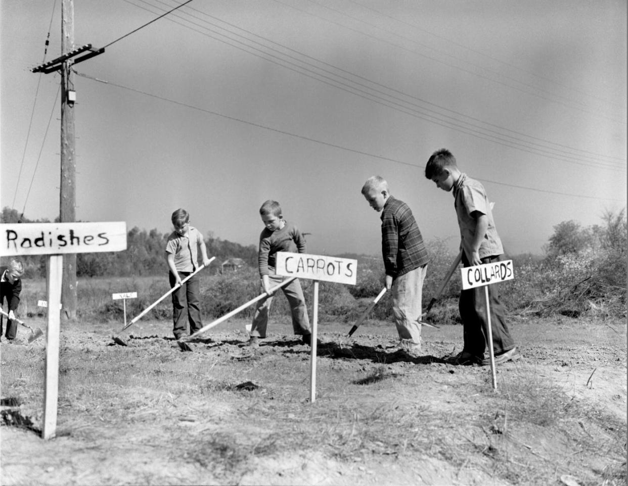 Victory Gardens were a crucial aspect of the Homefront during World War II, with over 20 million gardens helping with rationing and food shortages.