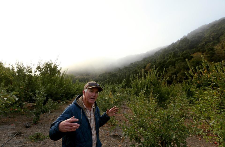 A man stands outdoors and gestures with his hands as a heavy mist hovers behind him.