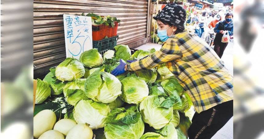 高麗菜不僅能防止骨質疏鬆、排便，甚至能降低癌症發生率。（示意圖／報系資料照）