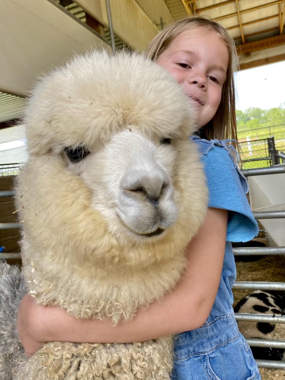 Lucy Sevigny enjoyed a soft hug with an alpaca.
