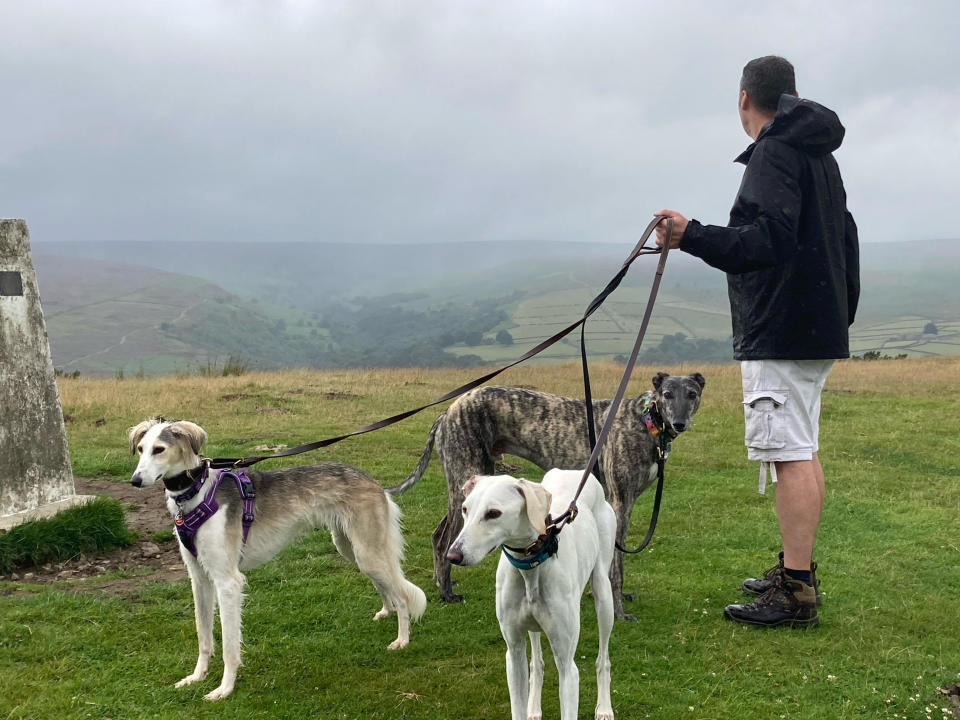 Eve and Dasher are going on long countryside walks with Biscuit, their owners' ex-racing greyhound. (RSPCA)