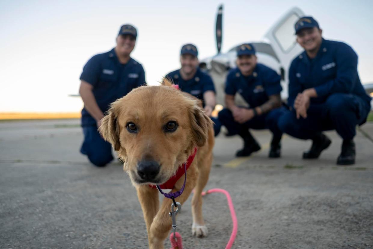 <p>Perry Shirzad/U.S. Coast Guard Heartland</p>