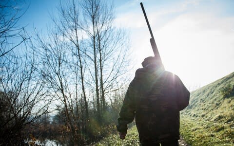 A hunter walks with his shotgun in the nature on December 9, 2016, in Vouvray, Central France - Credit: AFP