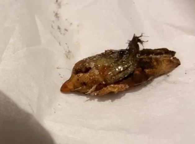 Mr Azam found an insect inside a date he had started to eatShaiful Azam