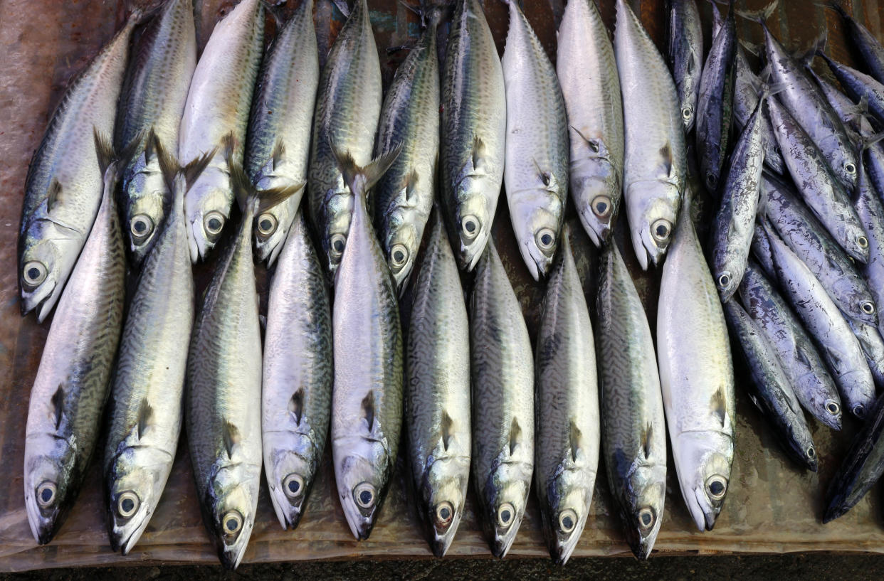 Oily fish have high levels of omega-3 fatty acids, which contributes to a healthy diet, and are also environmentally sustainable sources of meat. (Getty Images)