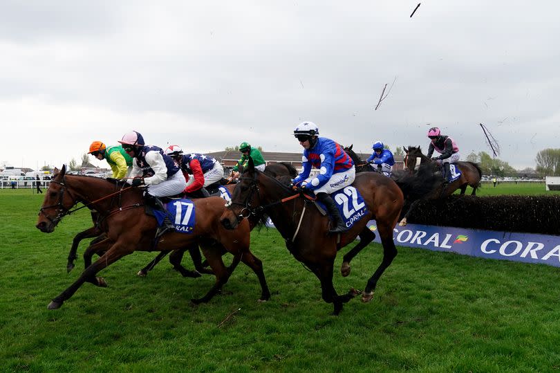 Photo shows Runners and riders in the Scottish Grand National