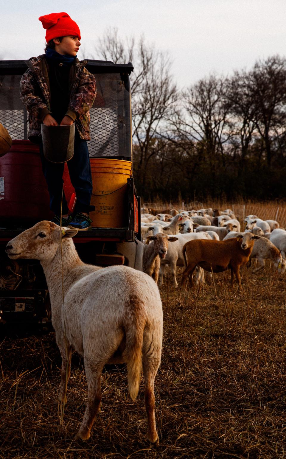 Samuel Kennedy IV feeds sheep at his families farm, Kettle Mills in Columbia, Tenn. on Nov. 18, 2022. Samuel is in line to become the eighth generation owner of Kettle Mills once he comes of age. 