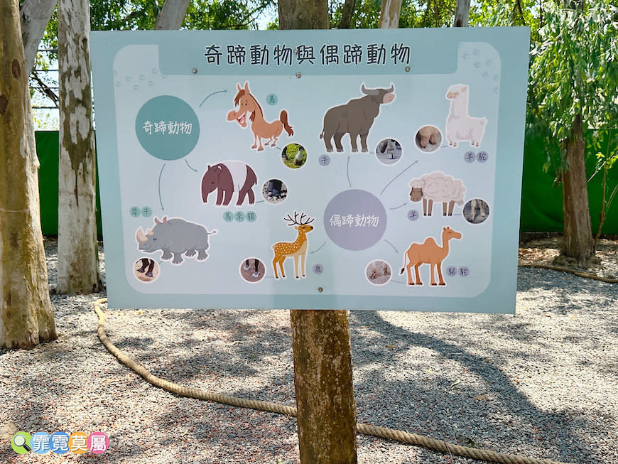 嘉義咩咩上樹萌寵樂園