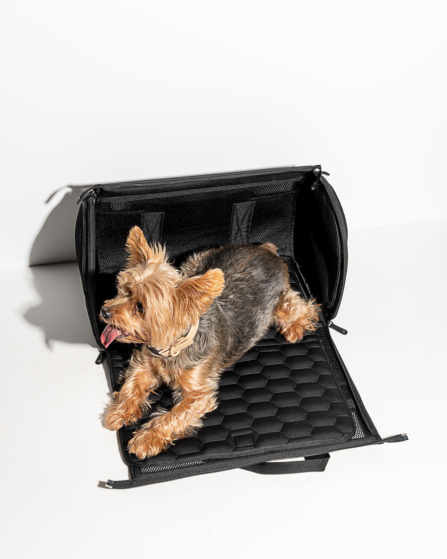Wild One Pet Travel Carrier
