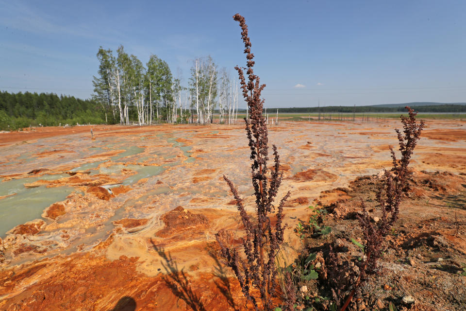 Orange à mort (Photo by Donat Sorokin\TASS via Getty Images)