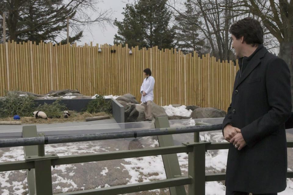 Prime Minister Justin Trudeau stands outside an enclosure as newly-named panda cubs Jia Panpan and Jia Yueyue are exhibited to the media at Toronto Zoo, on Monday, March 7, 2016. THE CANADIAN PRESS/Chris Young