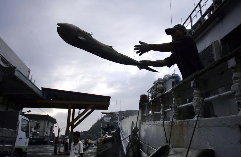 FILE - In this June 21, 2015, file photo, a fisherman unloads his catch in the port of Suao, north eastern Taiwan. Development that’s led to loss of habitat, climate change, overfishing, pollution and invasive species is causing a biodiversity crisis, scientists say in a new United Nations science report released Monday, May 6, 2019. (AP Photo/Wally Santana, File)