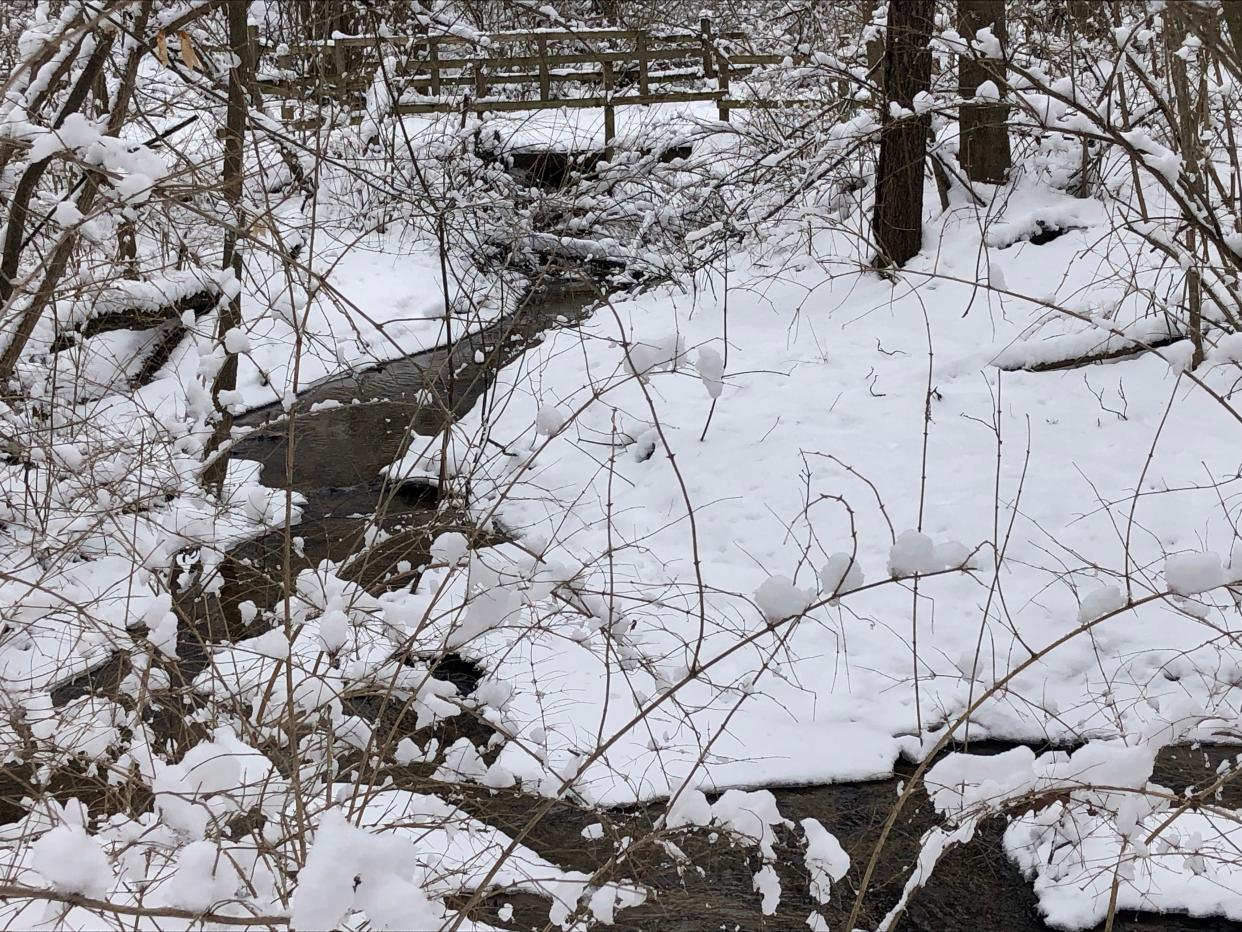 With a snow-packed trail bridge in the background, the creek passes through Love Creek County Park in Berrien Center on Jan. 29, 2023.