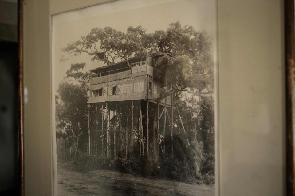 A photo of the original Kenyan tree house-style lodge where Queen Elizabeth II was staying the night she became queen. Then-Princess Elizabeth was deep in the Kenyan forest spotting wildlife from the treetops at the moment her father, King George VI, died on Feb. 6, 1952, at Sandringham. This picture was taken on April 10, 2021, at Treetops Lodge in Aberdare National Park in Kenya.