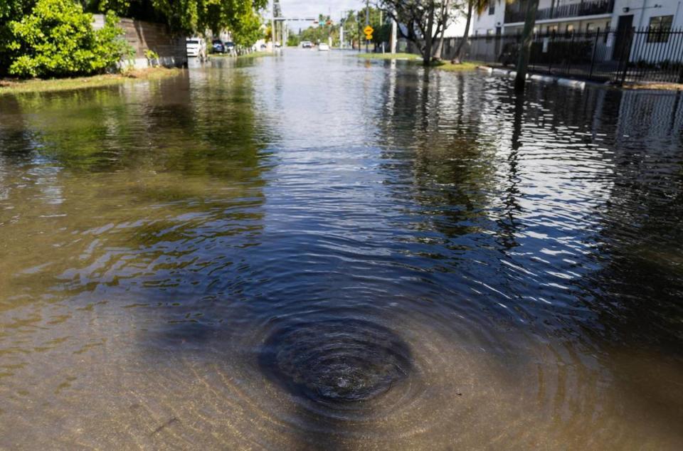 Agua subterránea burbujea de una tapa de alcantarilla en una calle inundada cerca del Little River Pocket Park, el lunes 30 de octubre de 2023, en Miami, Florida. El lunes fue la marea real más alta del año para el sur de la Florida, inundando calles, accesos vehiculares de casas y parques.