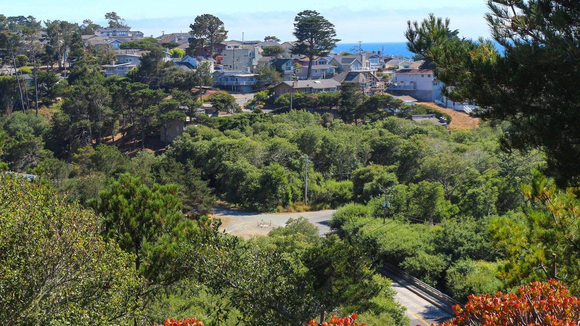 Homes in Cambria are tucked into the Monterey pine forest surrounding the small town.