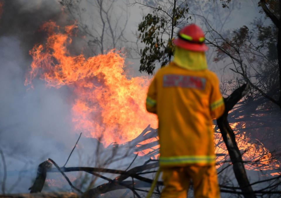 NSW and Queensland are experiencing 'catastrophic' bushfires. 