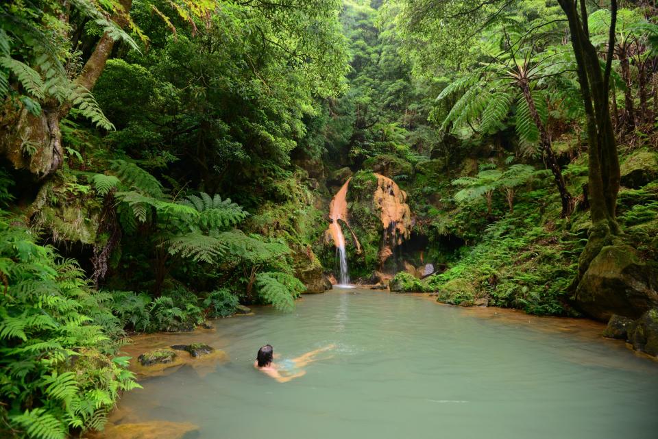 The Azores are a lush, leafy place - getty