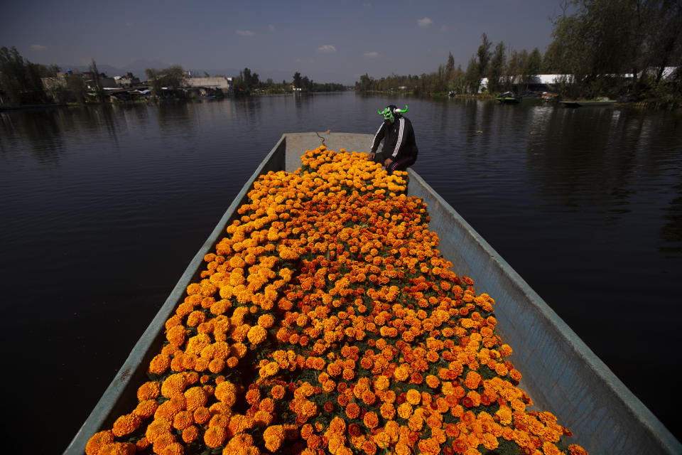 Mexican wrestler Mister Jerry floats with a boatful of marigold flowers in the famous floating gardens of Xochimilco, on the outskirts of Mexico City, Wednesday, Oct. 14, 2020. The harvest of Mexican marigold flowers known as Cempasuchil in the Nahuatl language is done ahead of the Nov. 1, Day Of The Dead holiday. (AP Photo/Marco Ugarte)