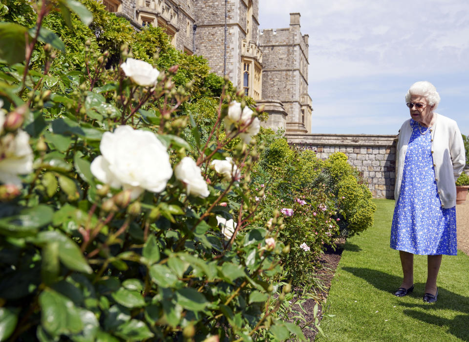 EMBARGOED TO 2200 WEDNESDAY JUNE 9 Queen Elizabeth II views a border in the gardens of Windsor Castle, in Berkshire, where she received a Duke of Edinburgh rose, given to her by the Royal Horticultural Society. The newly bred deep pink commemorative rose from Harkness Roses has officially been named in memory of the Duke of Edinburgh. A royalty from the sale of each rose will go to The Duke of Edinburgh's Award Living Legacy Fund which will give more young people the opportunity to take part in the Duke of Edinburgh Award. Picture date: Wednesday June 2, 2021. The Duke, who died in April this year, would have celebrated his 100th birthday on June 10th.