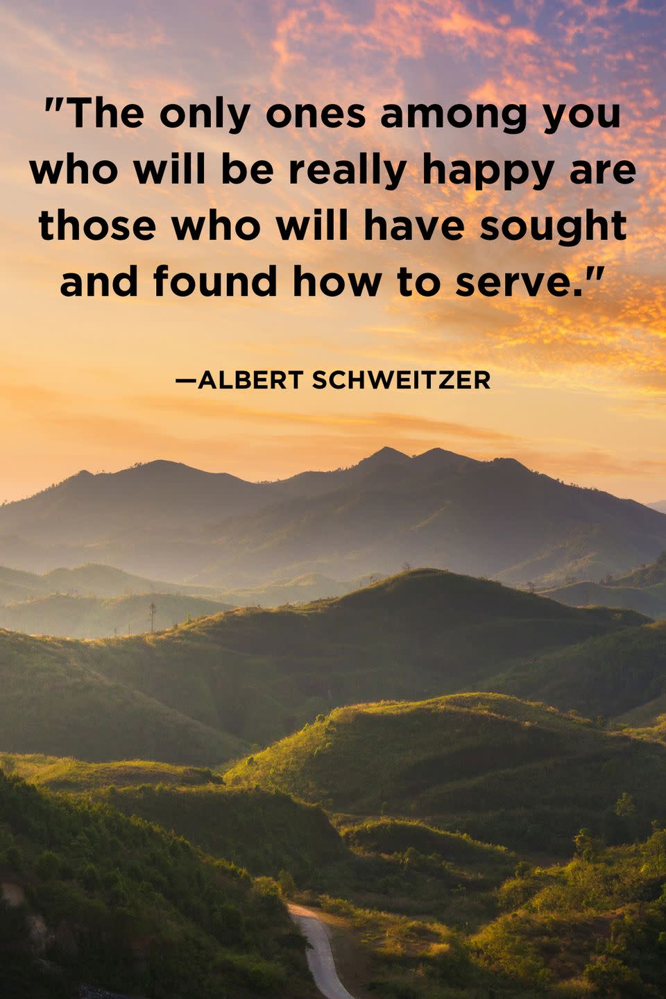 14) Albert Schweitzer