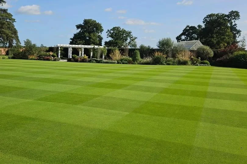 a lush green lawn