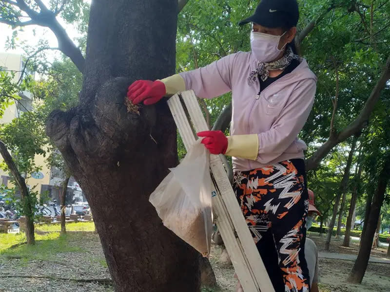 ▲台南市工務局積極巡檢公園孳清、投藥等工作。（圖／台南市工務局提供）