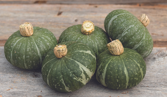 Sweet Jade Kabocha squash should be widely available in the spring.