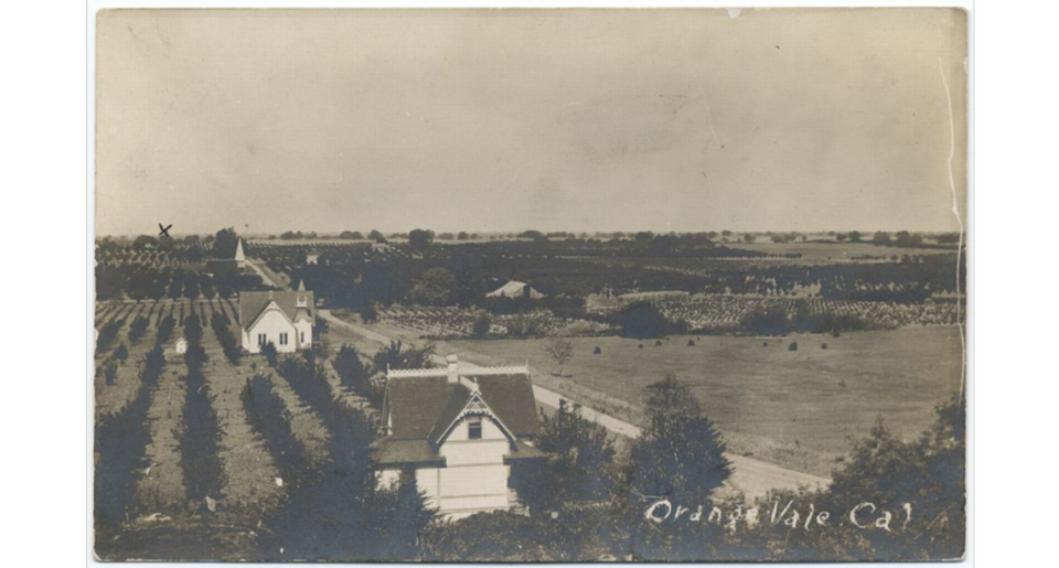 View of rural scene in Orangevale, Sacramento County. Groves of trees are seen along with houses along a rural street.
