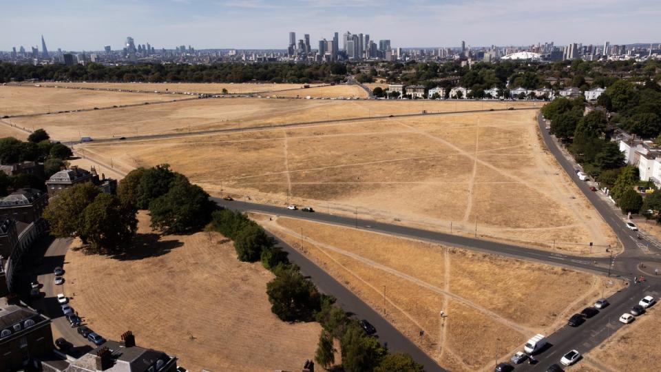Parched Blackheath in south London (Aaron Chown/PA) (PA Wire)