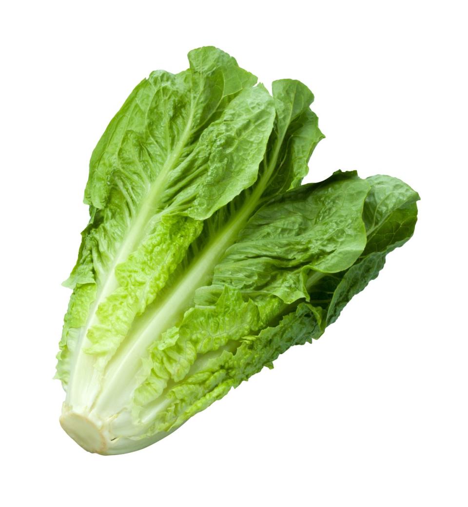 9) Romaine Lettuce