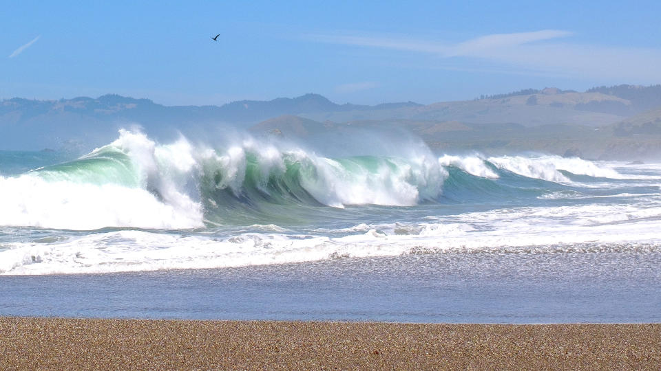 The California coastline as seen from Sonoma State Park.