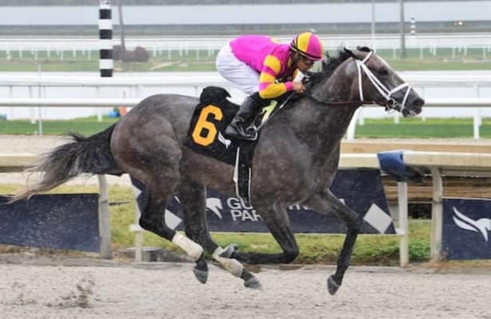 Tapit Trice, trained by Todd Pletcher, is the 5-2 morning-line favorite for Saturday’s Blue Grass Stakes at Keeneland.