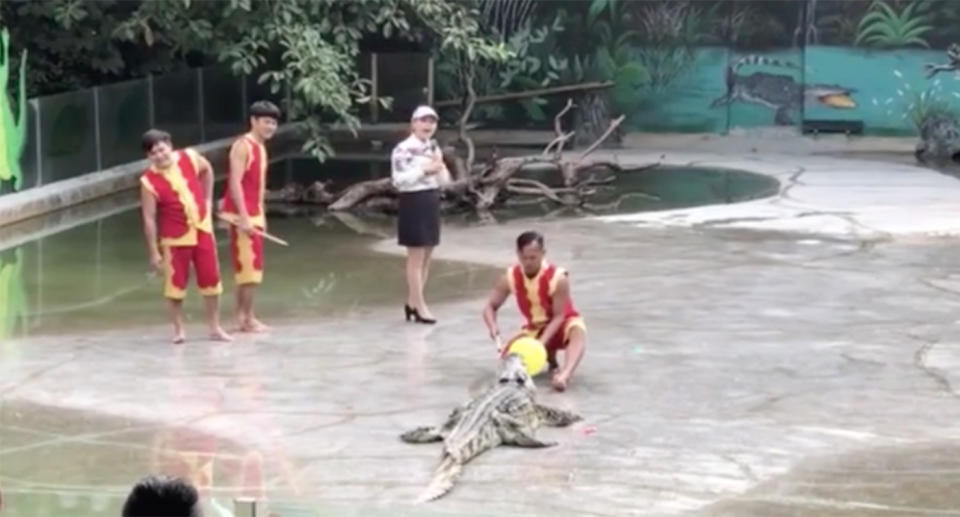 A performer appears to attempt to insert a yellow balloon into the crocodile’s mouth in a daring stunt. Source: The Express