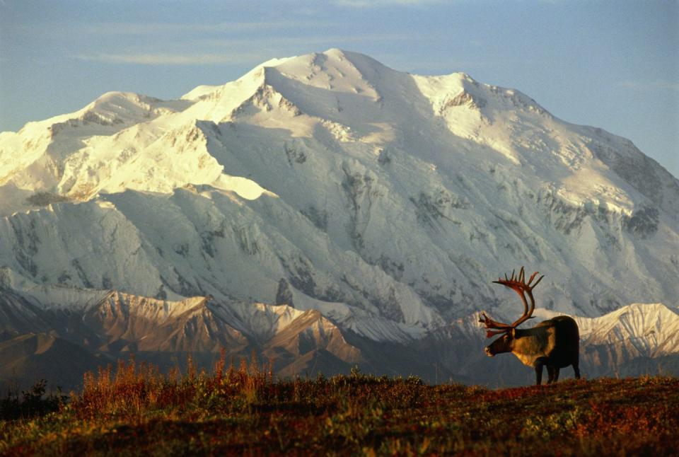 10) Denali National Park, Alaska