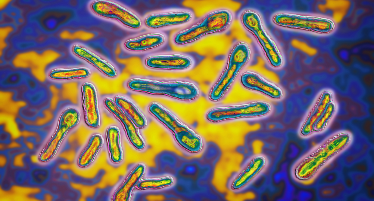 close up picture of yellow and purple botulism toxin, botulism