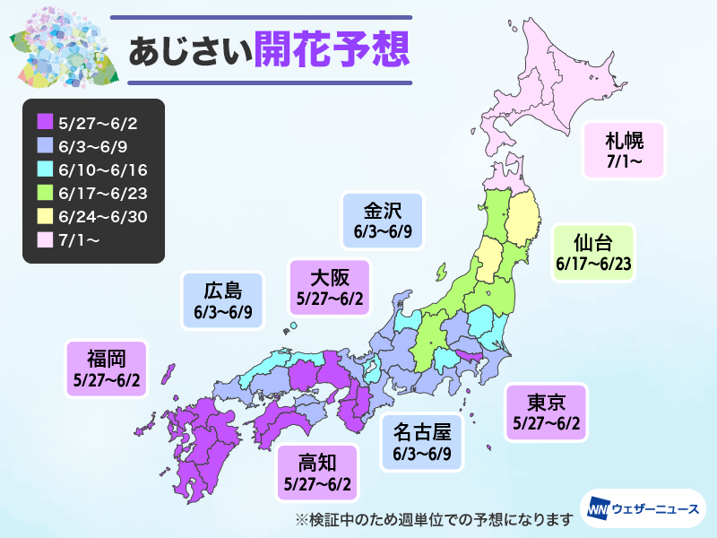 日本繡球花2024｜最新繡球花開花預測！一文睇清東京/大阪/京都賞花時間表+繡球花名所推介+睇最新開花狀況