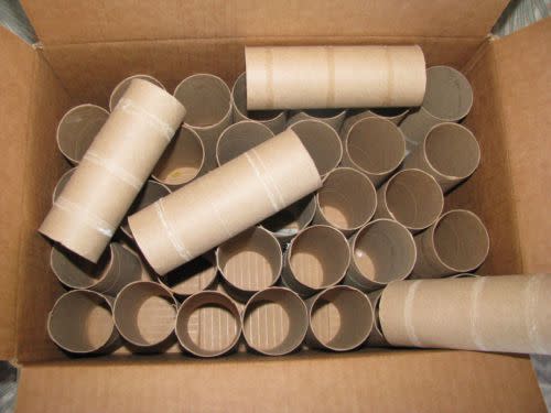 Toilet paper rolls