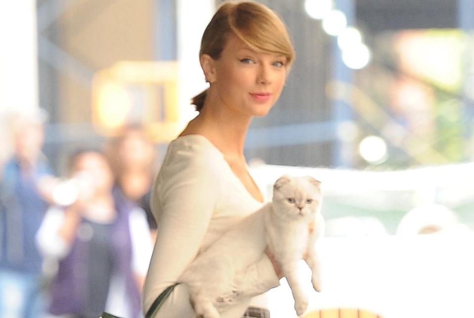 Taylor Swift holds white cat while walking down the street
