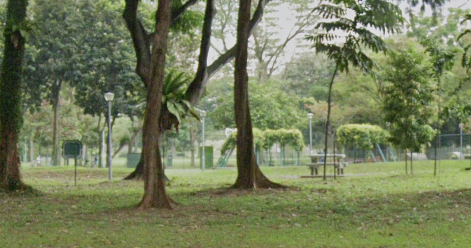 Screen grab of Bishan Park dog run on Google Street View (Photo: Google)